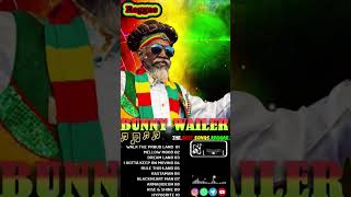 Bunny Wailer  Greatest Hit Songs Reggae  Playlist Full Album 2024 [upl. by Westhead]