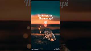 Pallivaalu bhadravattakam song trending reels shorts shortviral lyrics [upl. by Trudie]