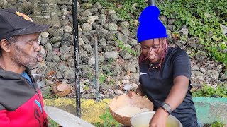 Jamaican Cuisine Outdoor Cooking BROWN STEW VEGGIE CHUNKS 😋 Tangerine Juice 🍊 [upl. by Heller]