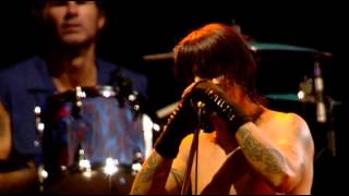 Red Hot Chili Peppers  Californication Live at Slane Castle 2003 [upl. by Stacie]