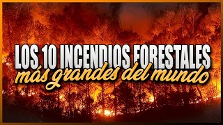 Los 10 incendios forestales más grandes del mundo [upl. by Arded]