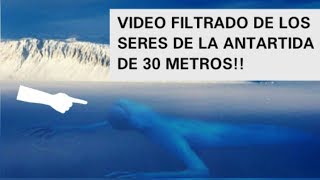 FILTRAN VIDEO DE UN SER GIGANTE QUE HABITA EN LA ANTARTIDA [upl. by Herb]