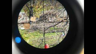 Air Rifle Hunting 4 New scope gamo 416x50 [upl. by Carrington]