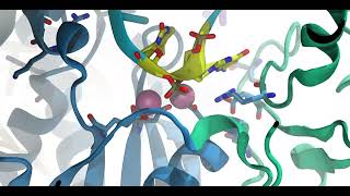 Clip  DNA traversal in CRISPRCas12a [upl. by Peria]