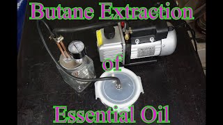 Butane Extraction of Essential Oil [upl. by Anairotciv]