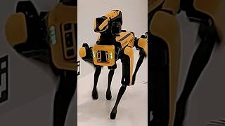 Boston Dynamics Spot Dog With Robot Arm On Display At Melbourne Museum This thing is freaky [upl. by Corbie]