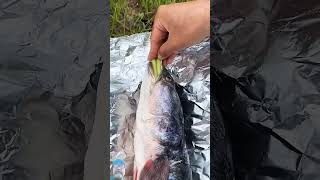 fishing fish mukbang food seafood bushcraft camping outdoors funny fishermenlife [upl. by Newkirk]