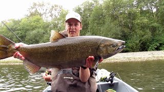 Humptulips River King Salmon Fishing 2019 Drift Boat Fishing [upl. by Lleder]