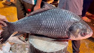 Amazing Cutting Skills  Giant Katla Fish Cutting By Expert Fish Cutter [upl. by Tannie]