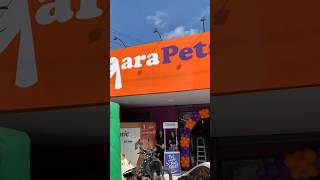 Inauguramos um Petcenter em Fortaleza  Marapets abraseupetshop petshop [upl. by Flora616]