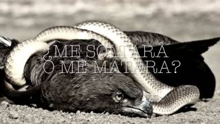 The bird And the snake  Wolves At The Gate Sub español [upl. by Karil]