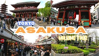 ASAKUSA  TOKYO  WALKING TOUR travel [upl. by Mufi538]