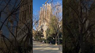 Obra de Gaudí la majestuosa Sagrada Familia shorts gaudi architecture europe [upl. by Nnylatsyrc]