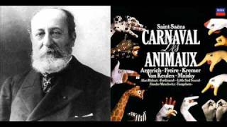 SaintSaëns Le carnaval des animaux  7 Aquarium [upl. by Nylaj]