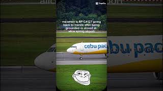 Is cebu pacific going back to manila [upl. by Liryc]