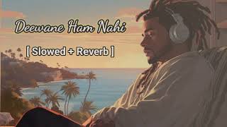 Deewane Ham Nahi Hote  Lofi Song  Slowed  Reverb  Aditya Yadav [upl. by Ahsotan]