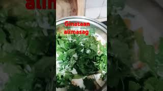 Ginataan alimasag sa dahon ng ampalaya shortsvideo food life [upl. by Zilevi886]