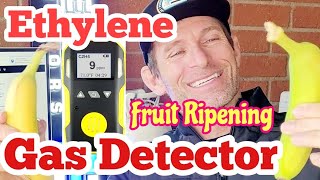 Ethylene Gas Detector for Fruit Produce Ripening [upl. by Neural]