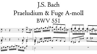 Bach  Praeludium amp Fuge Amoll  A minor BWV 551  Bach organ Arnstadt Hauptwerk [upl. by Elirpa803]