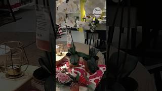 IKEA shop with me 2024  Dining room ideas 👉check out my channel for full Ikea videos shorts [upl. by Bessie]