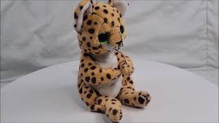 Ty Beanie Baby Bellies 6quot LLOYD the Leopard Babies 2023 [upl. by Siver]