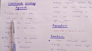 Carotenoids llAccessory pigments llClass 11ll chapter 11ll Easy lectures by zaib [upl. by Ayiak116]