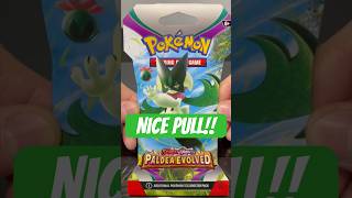 Pokémon Paldea Evolved Sleeved Booster Pack Opening 🔥 pokemon tradingcards pokemoncards shorts [upl. by Enehs]