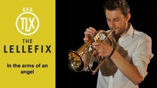 In the arms of an angel  Sarah McLachlan  Trumpet cover Flugelhorn [upl. by Eibrab725]