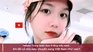 netizen Trung Quốc than 9 tầng mây xanh khi tất cả nhà máy chuyển sang Việt Nam như nào [upl. by Drucilla]