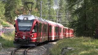 Rhätische Bahn  Die Bernina Bahn mit ABe 812 Allegra Triebwagen zwischen Tirano und St Moritz [upl. by Adnerol]