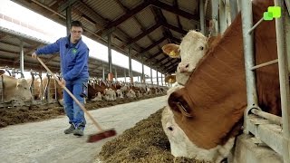 So arbeiten Menschen mit Behinderung im Einrichtungsverbund Steinhöring [upl. by Anayi]