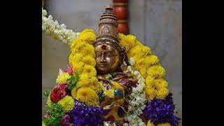 Muthai Tharu Pathi Thirunagai  முத்தை தரு பதி திருநாகை  Murugan [upl. by Oetsira278]