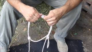 Como hacer Jáquima cabezal o bozal de cuerda Rope Halter  con Cristobal Scarpati [upl. by Walford492]