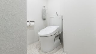 The Best Bidet Toilet Seats Right Now [upl. by Eelyahs]