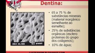 Aula de Anatomia dental Introdução [upl. by Rann]