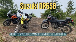 Suzuki DR650 Riding to Secluded Camp Site [upl. by Kilk]