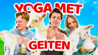 Wij Deden Yoga Met Geiten [upl. by Cuthbertson]