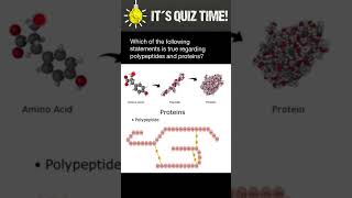 Polypeptides vs Proteins [upl. by Riva]