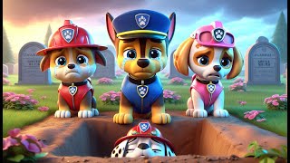 Paw Patrol Ultimate Rescue  GOODBYE MARSHALL  PLEASE WAKE UP VERY SAD STORY  Rainbow 3 [upl. by Aman44]