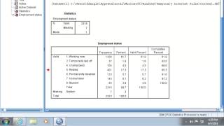 Introduction to Univariate Analysis [upl. by Naawaj625]