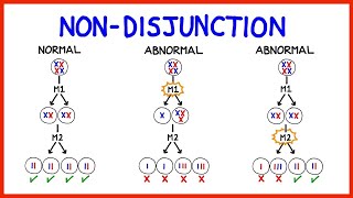 Chromosomal Abnormalities Aneuploidy and NonDisjunction [upl. by Kinom]