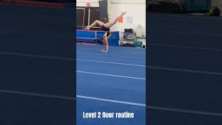 My level 2 floor routine [upl. by Denny482]