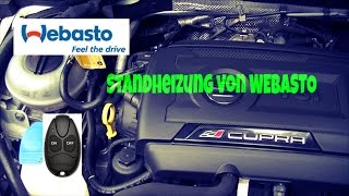 Webasto Standheizung im Seat Leon 5F [upl. by Markus]