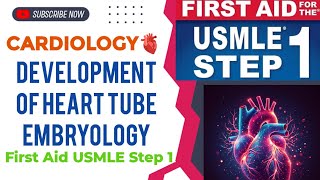 Development of heart tube Embryology Cardiology 1  First Aid USMLE Step 1 in UrduHindi [upl. by Aloiv]