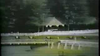 Buckpasser  1966 Travers Stakes [upl. by Asseram]