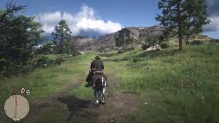 MYSTERE RDR2 TROUVER DES OS DE DINOSAURE RED DEAD REDEMPTION 2 [upl. by Eiclehc]