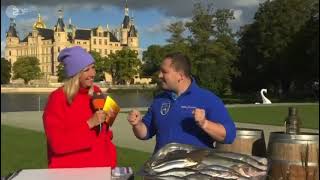 ZDF Fernsehgarten on Tour in Schwerin Fischsommelier André Domke bei Andrea Kiewel [upl. by Ahsienak]