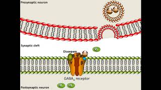 Diazepam  Mechanism of Action [upl. by Yeleen]