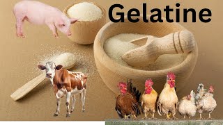 Gelatine Secrets  How gelatine made  Benefits of gelatine [upl. by Autry808]