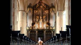 Nikolaus Bruhns  Praeludium in G major [upl. by Martres]